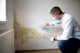 Best Basement Mold Removal  in South Coatesville, PA